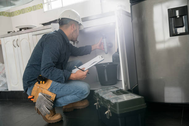 Best Sprinkler Systems  in Nneconne, WI