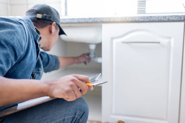 Best Clogged Drain Plumber  in Nneconne, WI