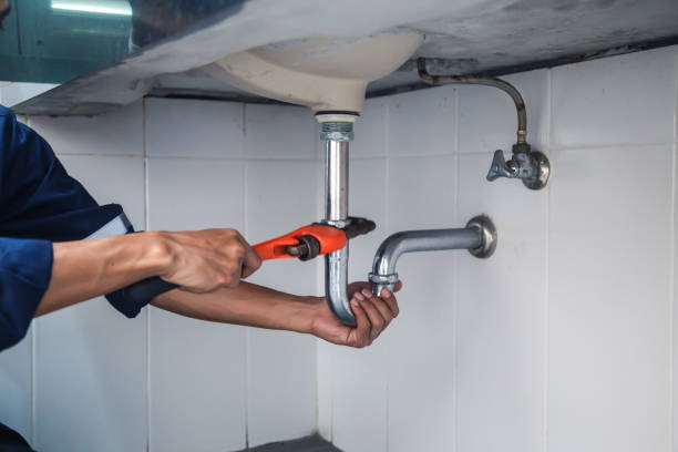 Best Residential Plumbing Services  in Nneconne, WI